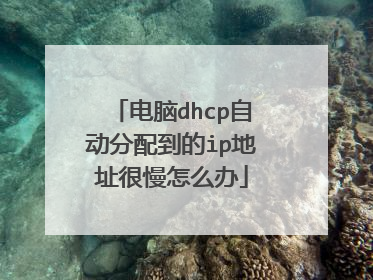 电脑dhcp自动分配到的ip地址很慢怎么办