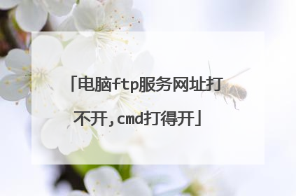 电脑ftp服务网址打不开,cmd打得开
