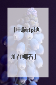 电脑ip地址在哪看