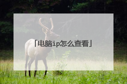 电脑ip怎么查看