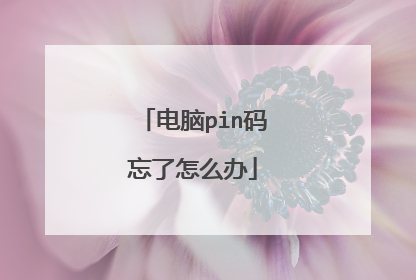 电脑pin码忘了怎么办