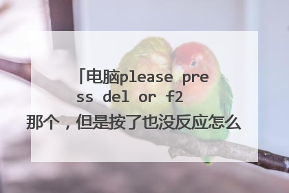 电脑please press del or f2 那个，但是按了也没反应怎么办，进不到bois界面？