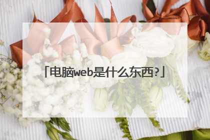 电脑web是什么东西?