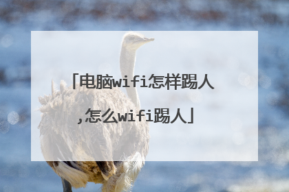 电脑wifi怎样踢人,怎么wifi踢人