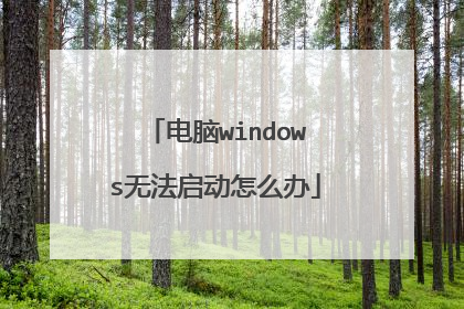 电脑windows无法启动怎么办