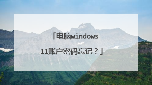 电脑windows11账户密码忘记?