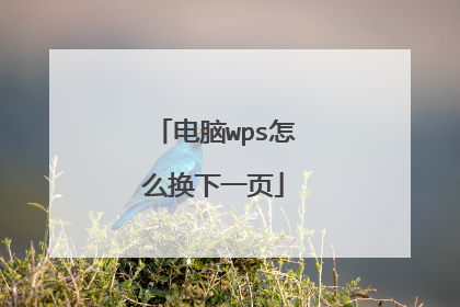 电脑wps怎么换下一页