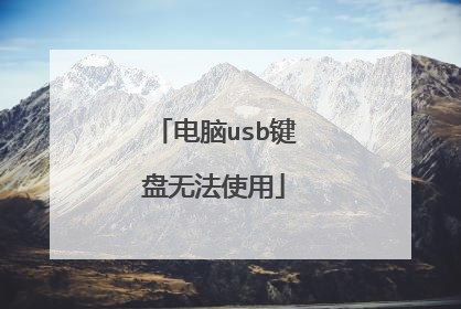 电脑usb键盘无法使用