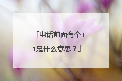 电话前面有个+1是什么意思?