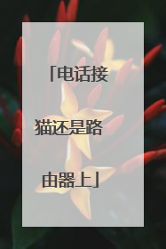 电话接猫还是路由器上