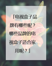 电视盒子品牌有哪些呢？哪些品牌的电视盒子适合家用呢？