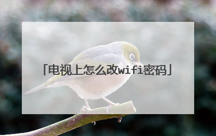 电视上怎么改wifi密码