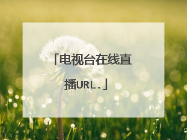 电视台在线直播URL.
