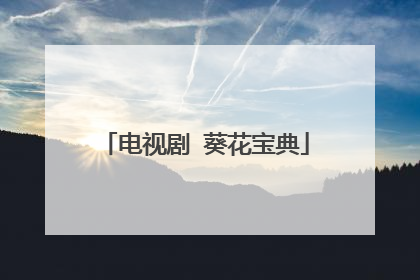 电视剧 葵花宝典