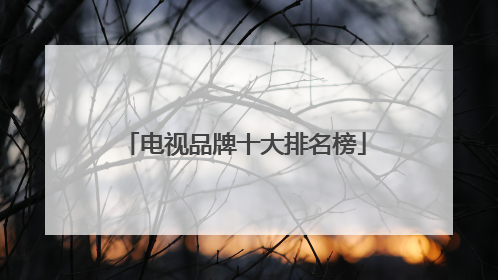 电视品牌十大排名榜