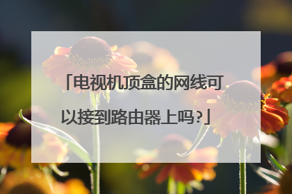 电视机顶盒的网线可以接到路由器上吗?