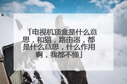 电视机顶盒是什么意思，和猫，路由器，都是什么意思，什么作用啊，我都不懂