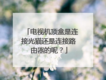 电视机顶盒是连接光猫还是连接路由器的呢？
