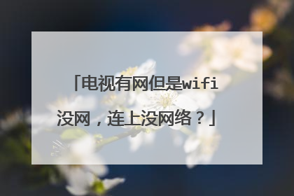 电视有网但是wifi没网,连上没网络?