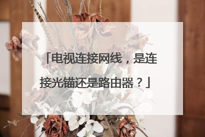 电视连接网线，是连接光锚还是路由器？