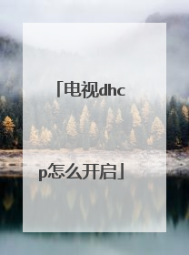 电视dhcp怎么开启