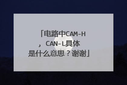 电路中CAM-H, CAN-L具体是什么意思?谢谢