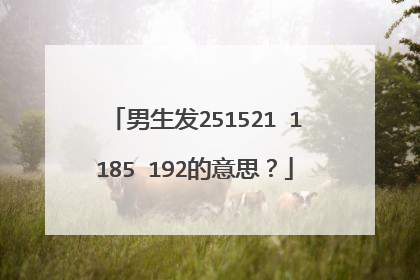 男生发251521 1185 192的意思？