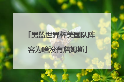 男篮世界杯美国队阵容为啥没有詹姆斯