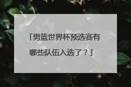 男篮世界杯预选赛有哪些队伍入选了？