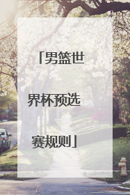 男篮世界杯预选赛规则