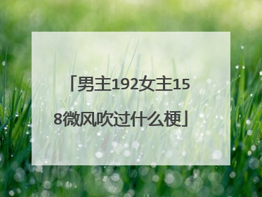男主192女主158微风吹过什么梗
