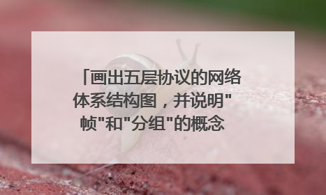 画出五层协议的网络体系结构图,并说明