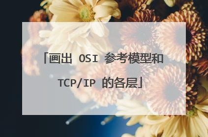 画出 OSI 参考模型和 TCP/IP 的各层