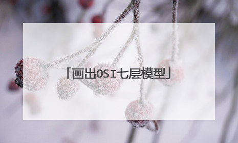 画出OSI七层模型