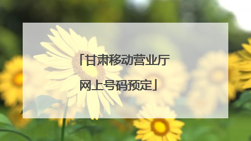 甘肃移动营业厅网上号码预定
