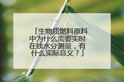 生物质燃料原料中为什么需要实时在线水分测量,有什么实际意义?