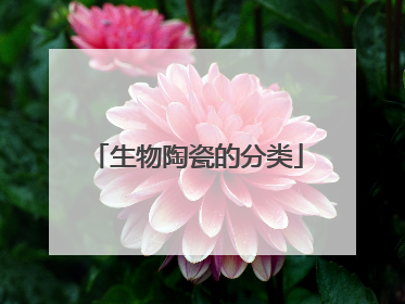 生物陶瓷的分类