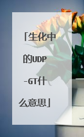 生化中的UDP-GT什么意思