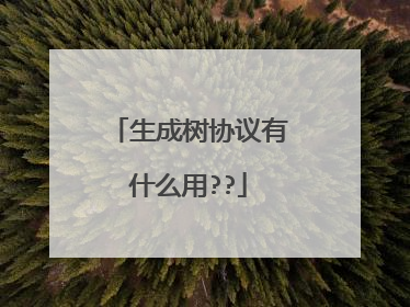 生成树协议有什么用??
