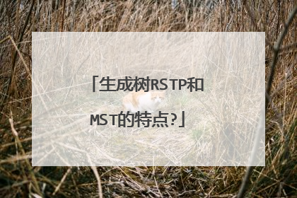 生成树RSTP和MST的特点?