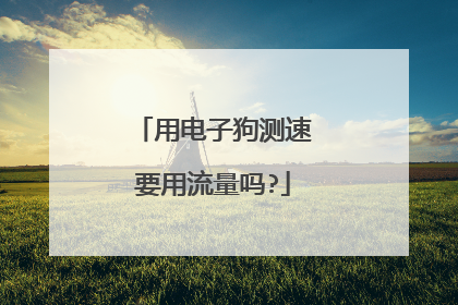 用电子狗测速要用流量吗?