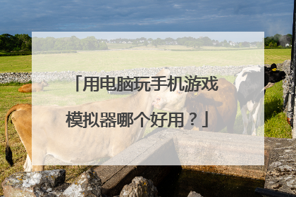 用电脑玩手机游戏模拟器哪个好用?
