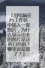 用电脑在PS工作区中插入一张图片，为什么显示出来的图片是这样白色的？哪里误设置了？