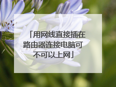 用网线直接插在路由器连接电脑可不可以上网