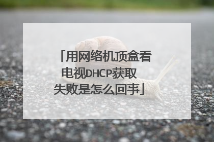 用网络机顶盒看电视DHCP获取失败是怎么回事