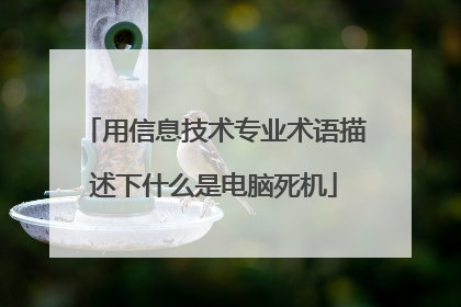 用信息技术专业术语描述下什么是电脑死机