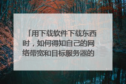 用下载软件下载东西时,如何得知自己的网络带宽和目标服务器的提供的带宽?