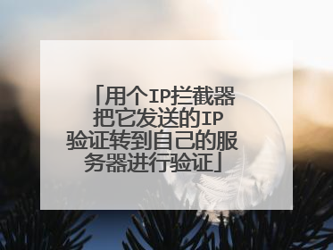 用个IP拦截器 把它发送的IP验证转到自己的服务器进行验证