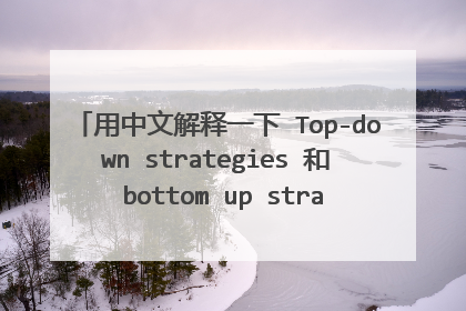 用中文解释一下 Top-down strategies 和 bottom up strategies。不要复制。