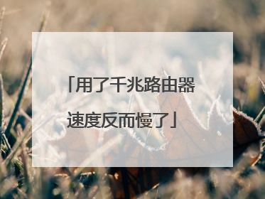 用了千兆路由器速度反而慢了